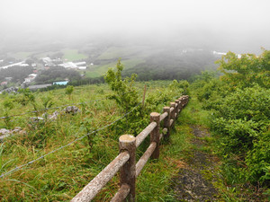 P7080060_1