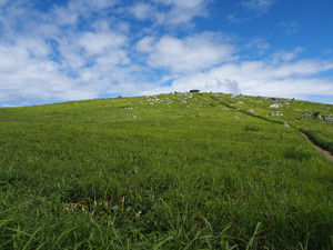 P8120029