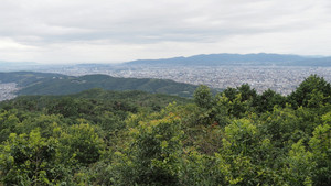 P8170038_1