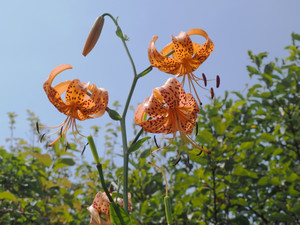 P8230007
