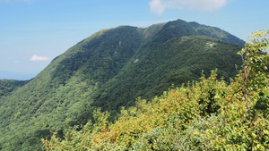 P8230012