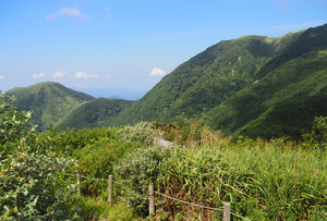 P8230020