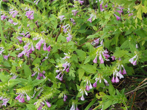 P8230021
