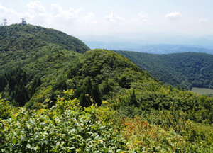 P8230033