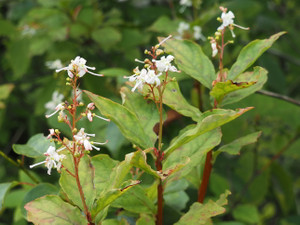 P8230044