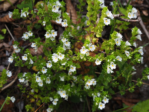 P8230049