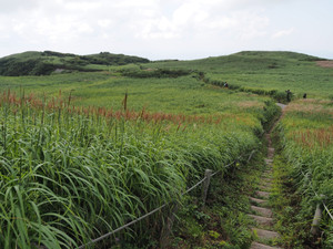 P8230079