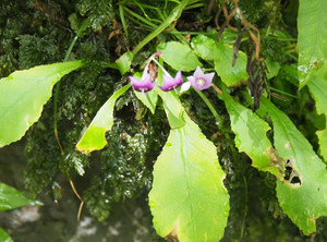 P8190017_1