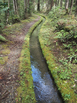 P8190039