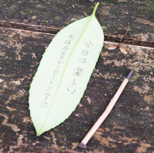 P8190049