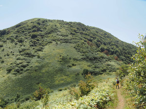 P8230106