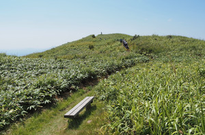 P8230117