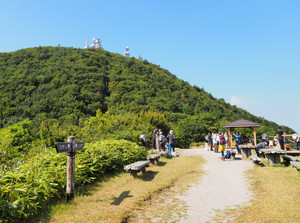 P8230135