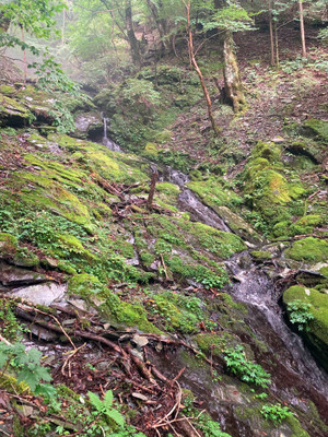 777867410_1050126467797255_27158544