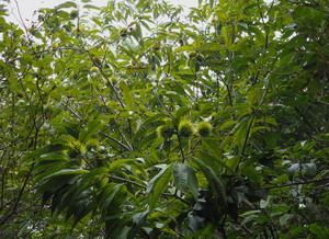 P9140077
