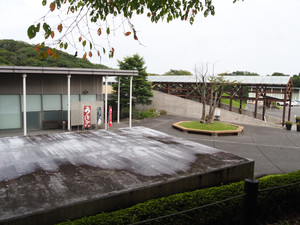 P9140091