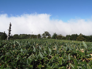 P9220003_1