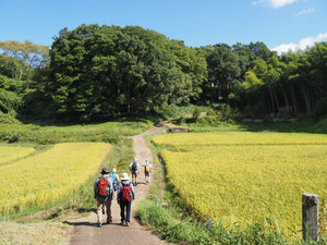 Pa020099_1