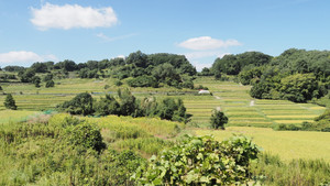 Pa020148