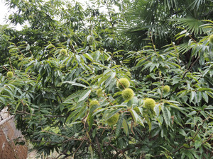 P9190057