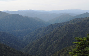 Pa160024_1