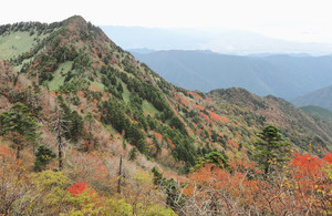 Nisinokannmuri