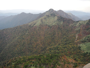 Pa160102_1