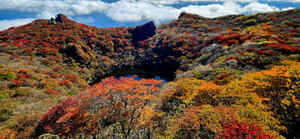 20251029_101335 20251029_101335