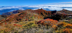 20251029_101350 20251029_101350