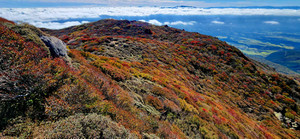 20251029_101644 20251029_101644