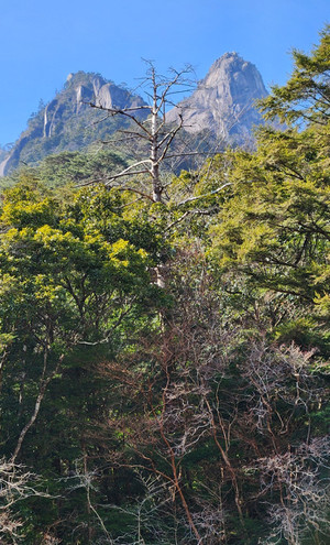 20260120_125510 20260120_125510