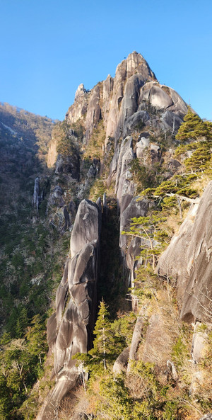 20260120_090658 20260120_090658