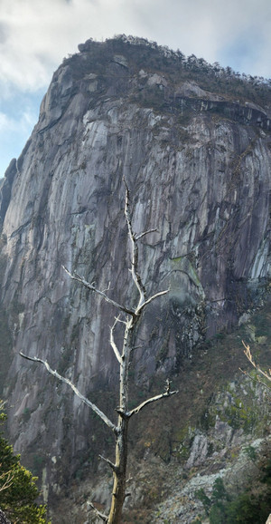 20260120_091606 20260120_091606