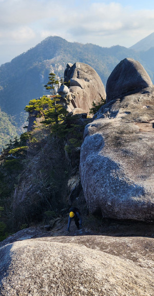 20260120_094740 20260120_094740