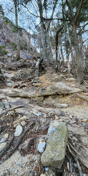 20260120_102515 20260120_102515