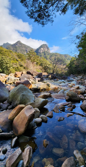 20260120_125251 20260120_125251