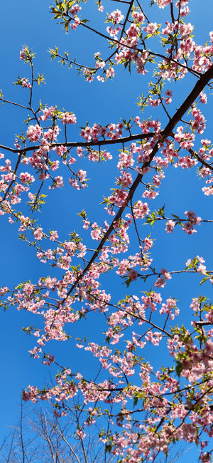 20260221_121251 20260221_121251