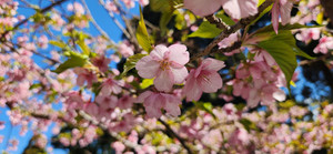 20260221_121301 20260221_121301