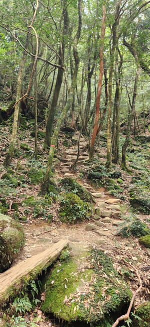 20260317_112510 20260317_112510