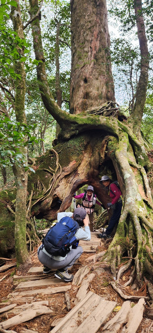 20260317_124847 20260317_124847