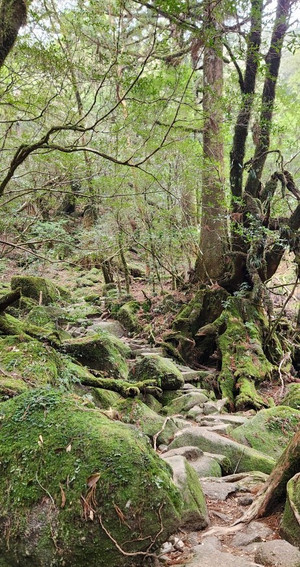 20260317_131223_2 20260317_131223_2