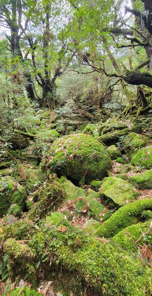 20260317_131558 20260317_131558