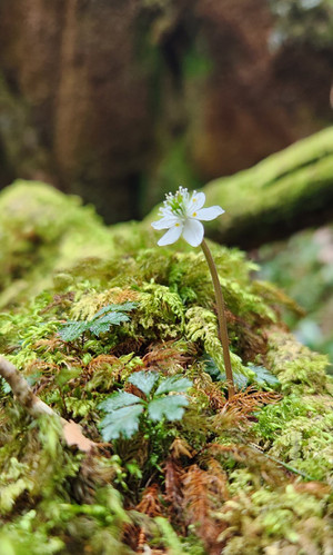 20260317_132210 20260317_132210