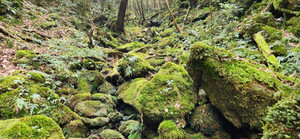 20260317_140545 20260317_140545