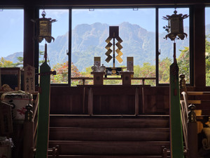 Photo_3