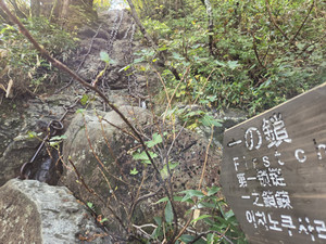 Photo_5