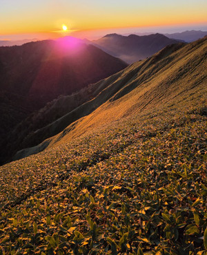 Photo_6