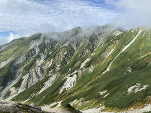 Image_50453761