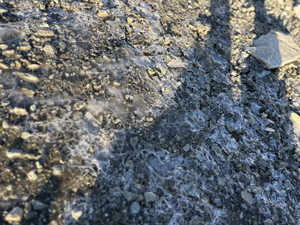 Photo_2