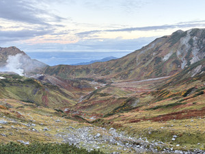 Photo_3